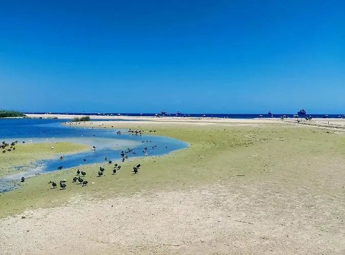 Casa Sol Y Mar